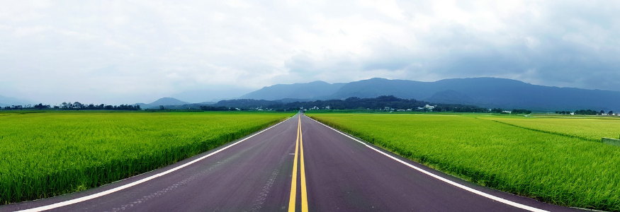 Road with fields on both sides
