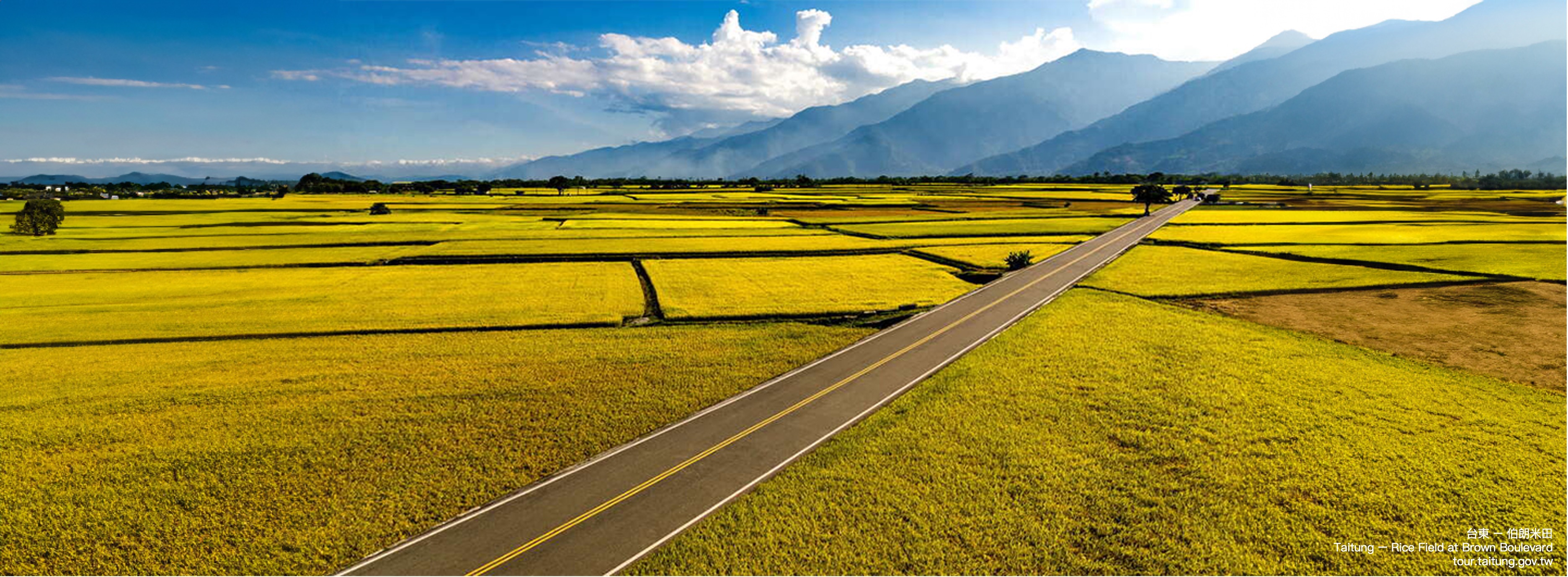 Taitung rice field at brown boulevard